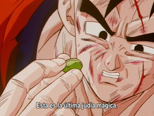 Dragon Ball Z - Especial 2: ¡Resistencia hasta la desesperación!
